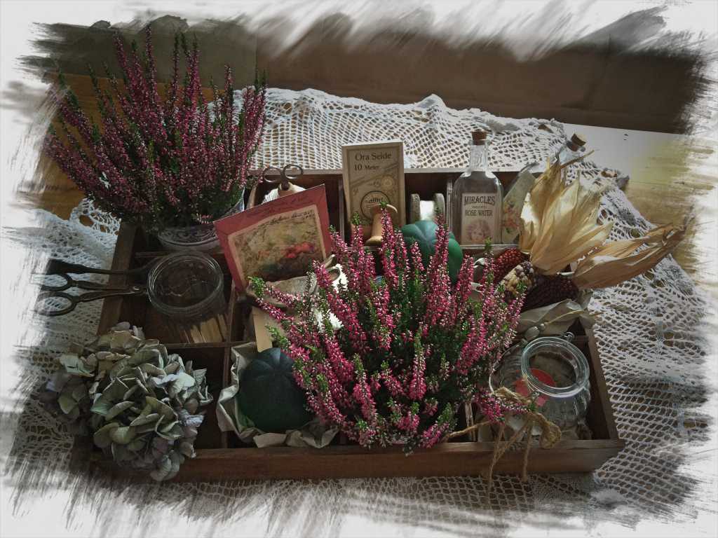 IMG_1121_Fotor