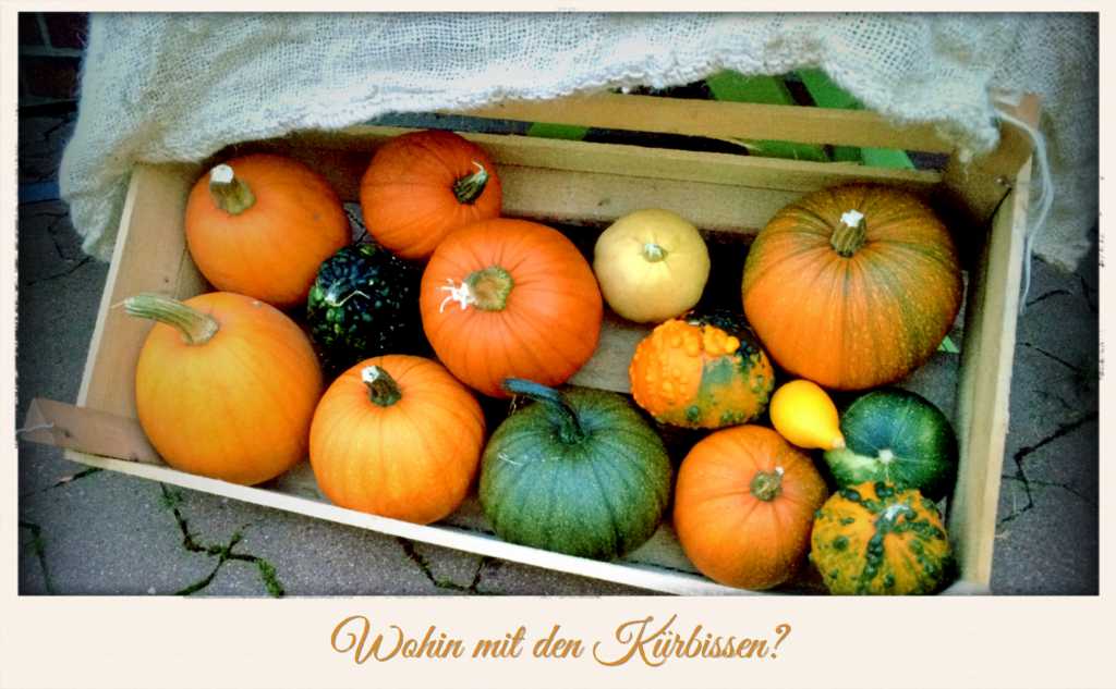 Kürbisalarm