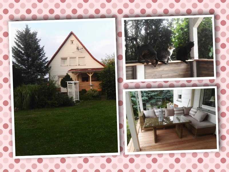Veranda mit Katzen